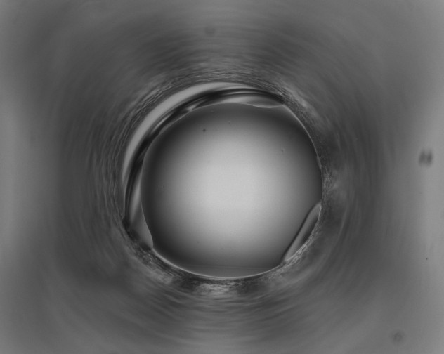 X0000096170170200801181258