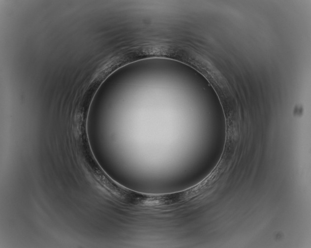 X0000096170171200801181258