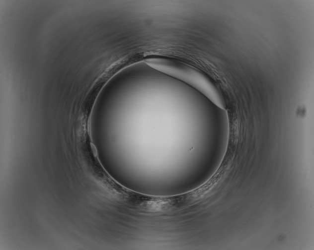 X0000096170172200801181258