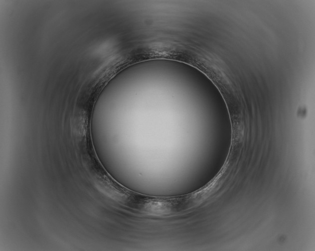 X0000096170174200801181258