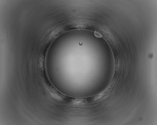 X0000096170175200801181258