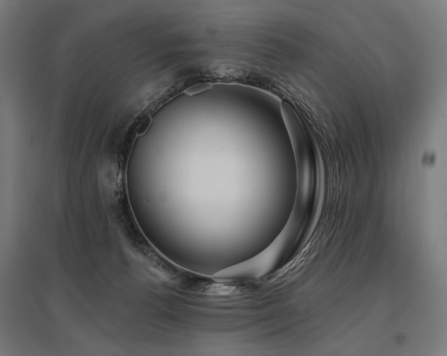 X0000096170176200801181258