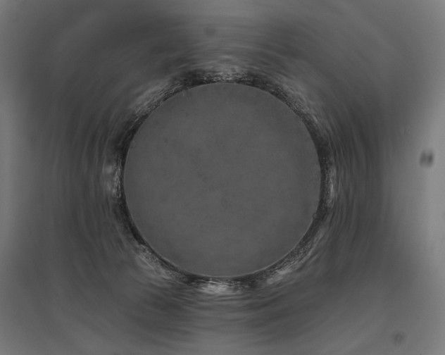 X0000096170177200801181258