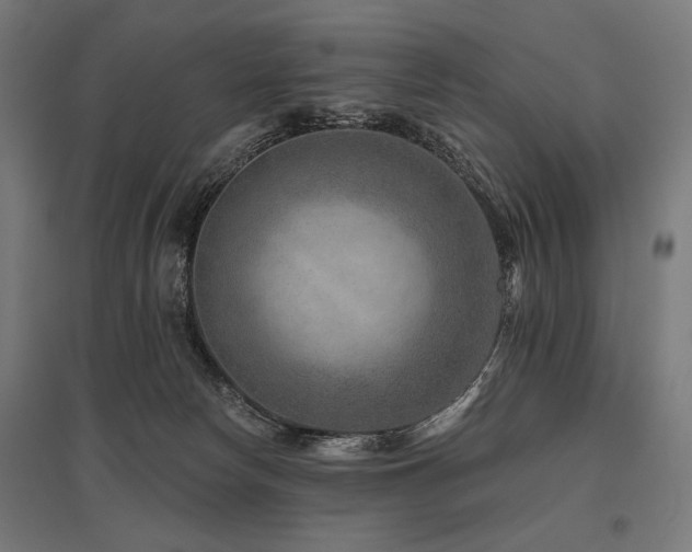 X0000096170178200801181258