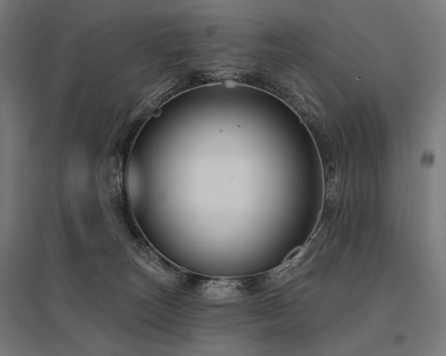 X0000096170179200801181258