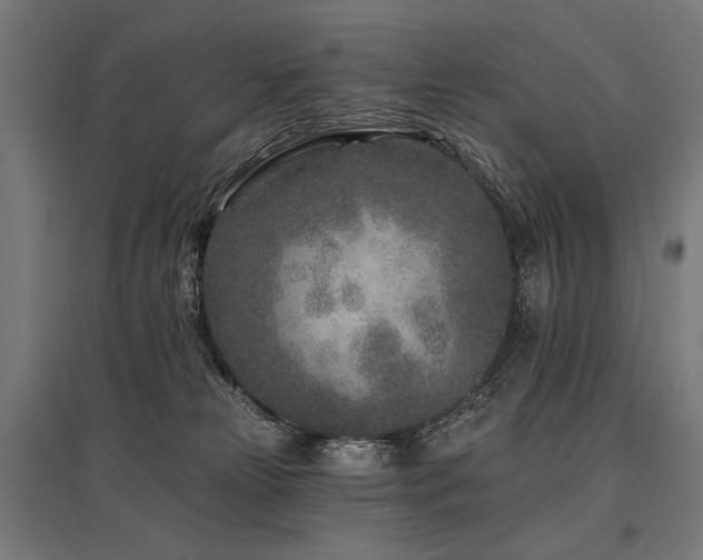 X0000096170181200801181258