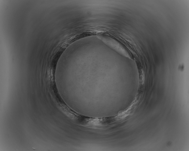 X0000096170182200801181258
