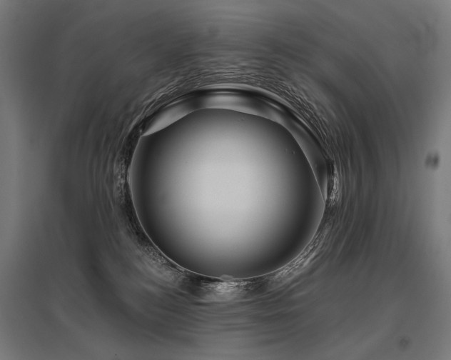 X0000096170184200801181258