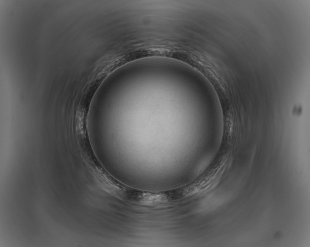 X0000096170185200801181258