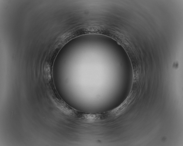 X0000096170187200801181258