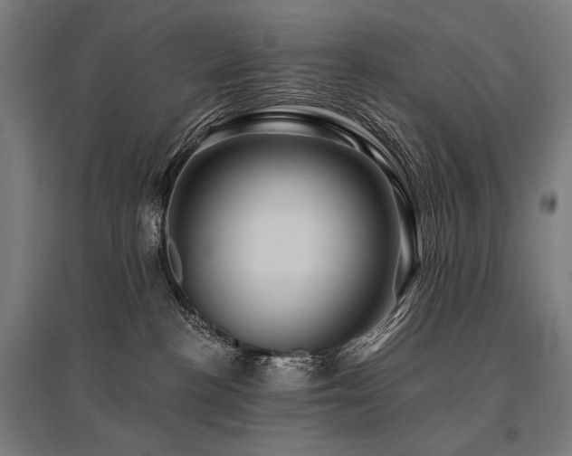 X0000096170188200801181258