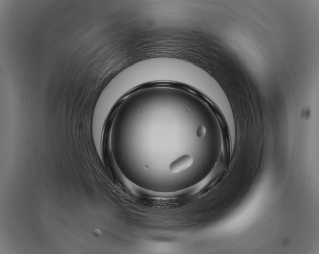 X0000096170190200801181258