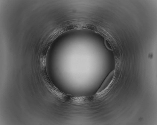 X0000096170191200801181258