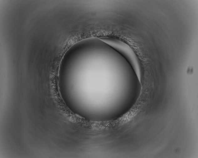 X0000096170192200801181258