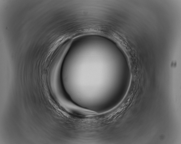 X0000096170193200801181258