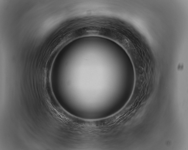 X0000096170194200801181257