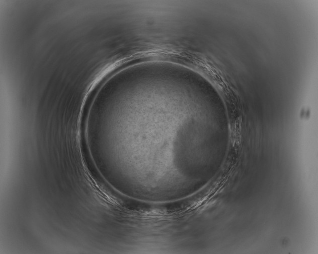 X0000096170196200801181257
