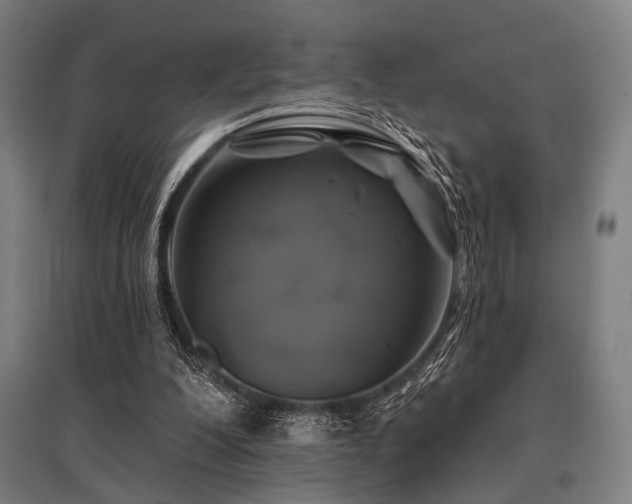 X0000096170200200801181257