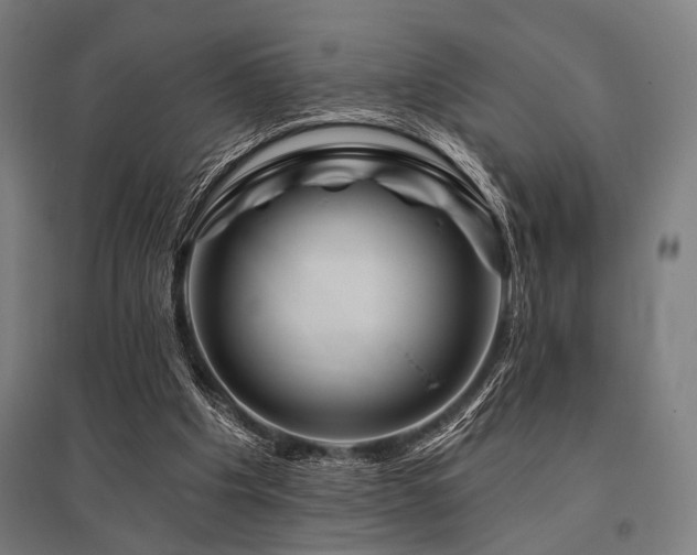 X0000096170201200801181257