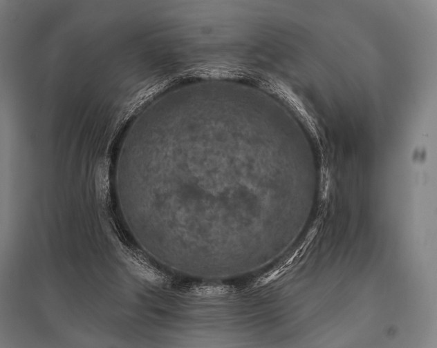 X0000096170202200801181257