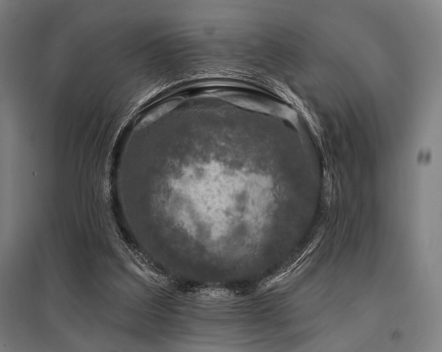 X0000096170203200801181257