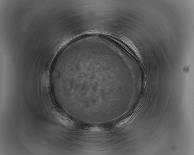 X0000096170204200801181257