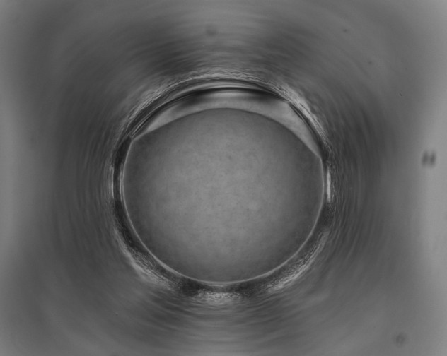 X0000096170205200801181257