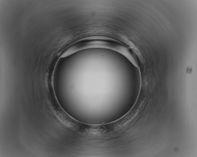X0000096170209200801181257