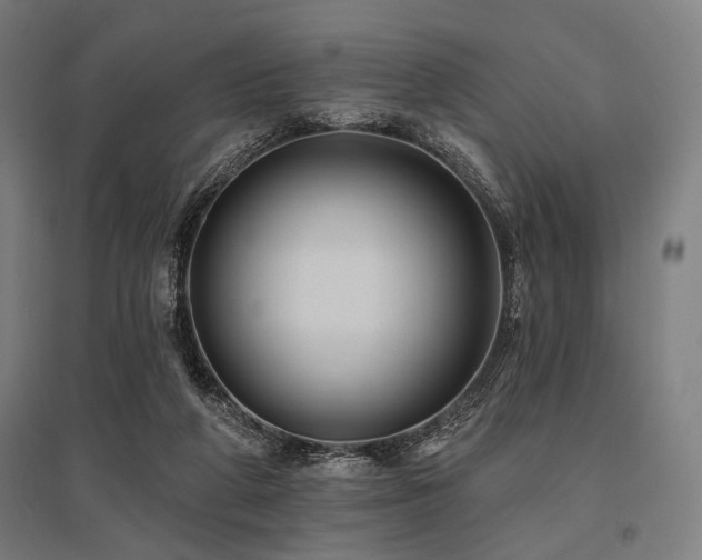 X0000096170210200801181257