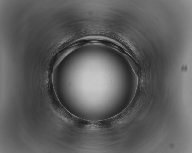 X0000096170211200801181257