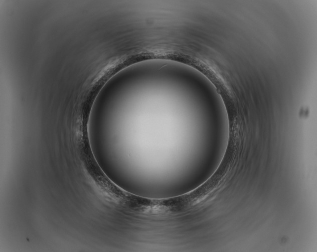 X0000096170212200801181257