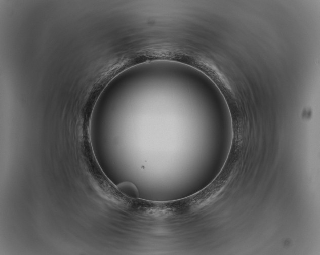 X0000096170213200801181257