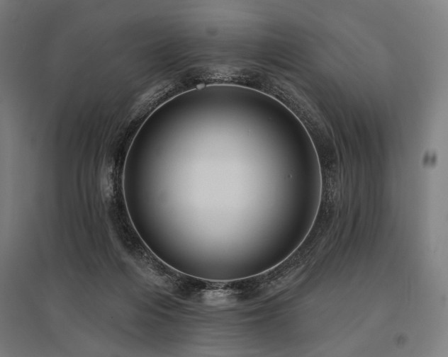 X0000096170216200801181257
