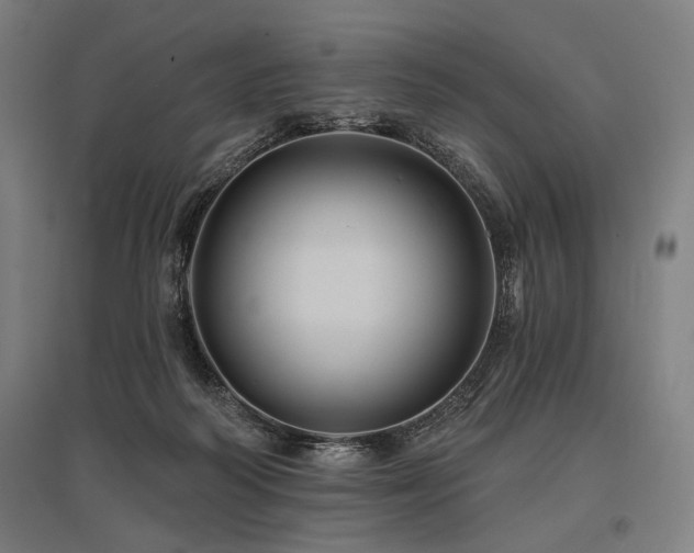 X0000096170218200801181257