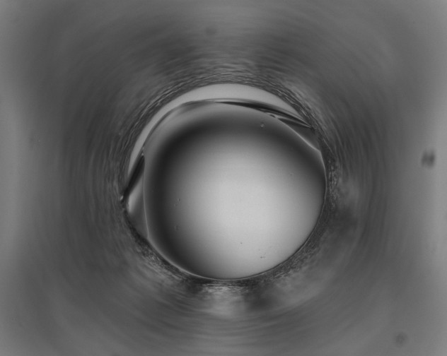 X0000096170221200801181257
