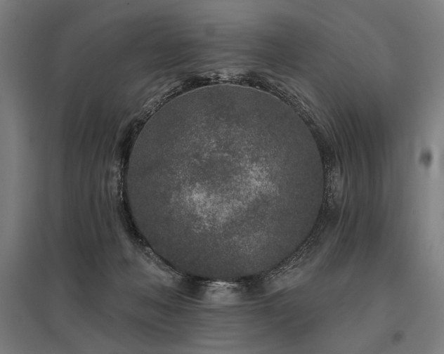 X0000096170222200801181257