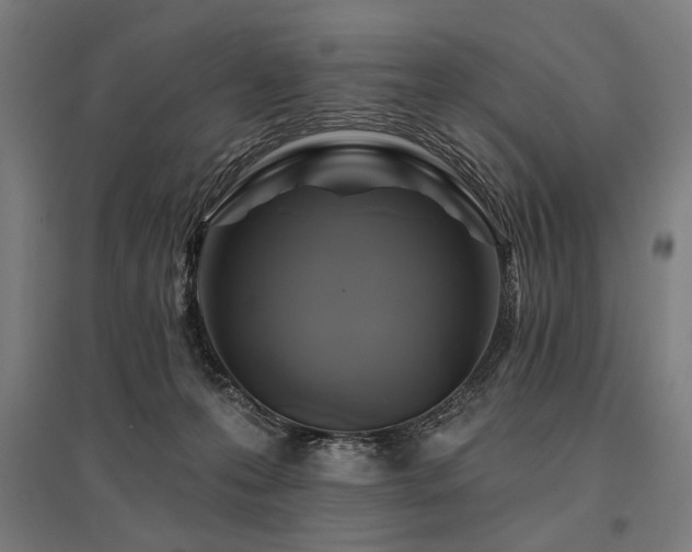 X0000096170223200801181257