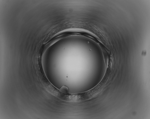 X0000096170225200801181257