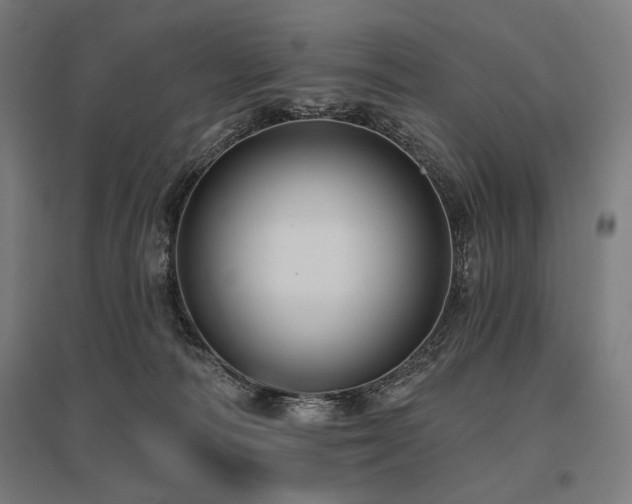 X0000096170226200801181257