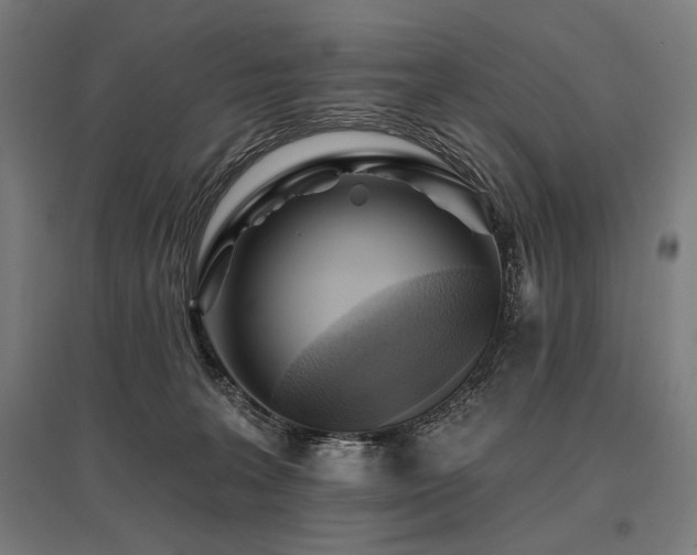 X0000096170227200801181257