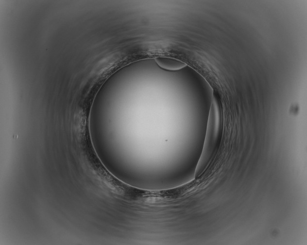 X0000096170228200801181257