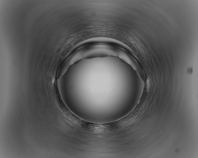 X0000096170229200801181257