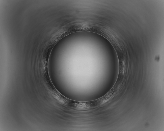 X0000096170230200801181257