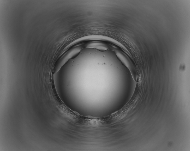 X0000096170233200801181257