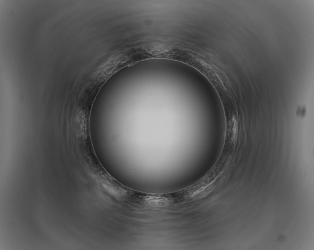 X0000096170234200801181257