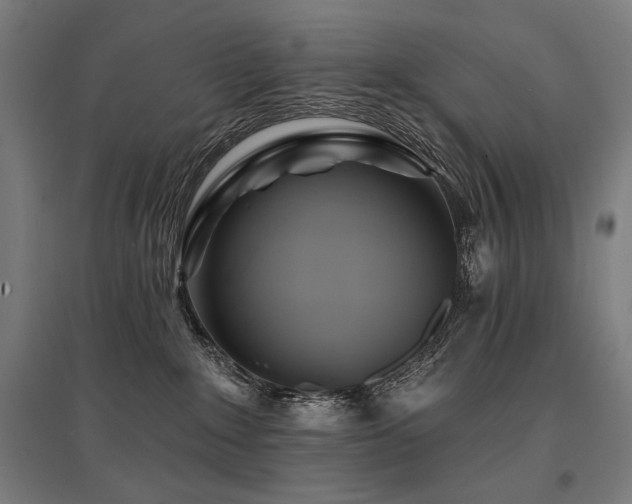 X0000096170235200801181257