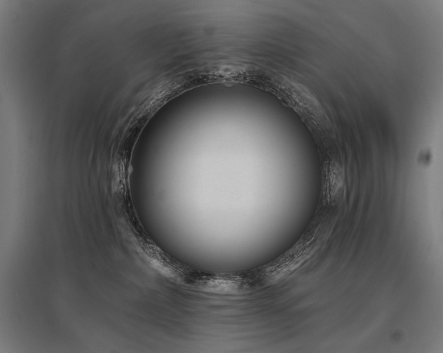 X0000096170236200801181257