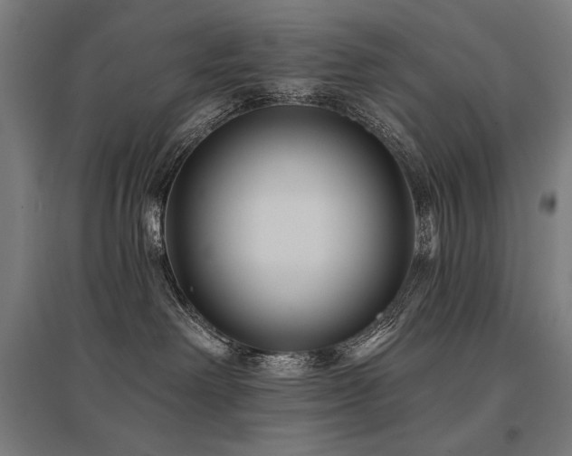 X0000096170238200801181257
