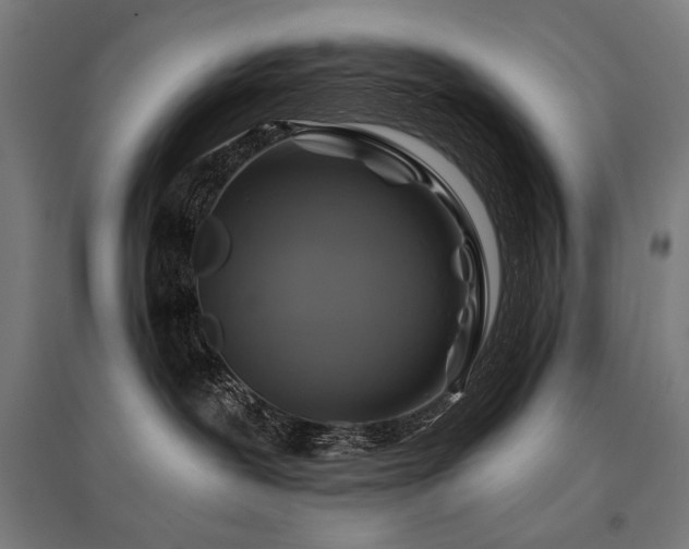 X0000096170239200801181257