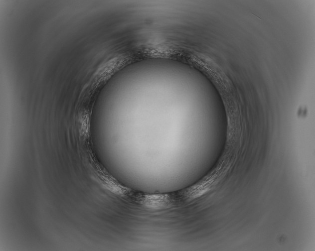 X0000096170240200801181257